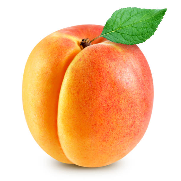 istock apricot fruits isolated 1185963159