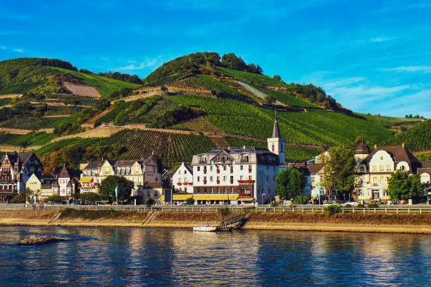 View of Assmannshausen, a district of Rüdesheim, and its vineyards on the hills as seen from the Rhine River. The wine grown here is usually Riesling and part of the Rheingau terroir. Rüdesheim, Hesse, Germany.