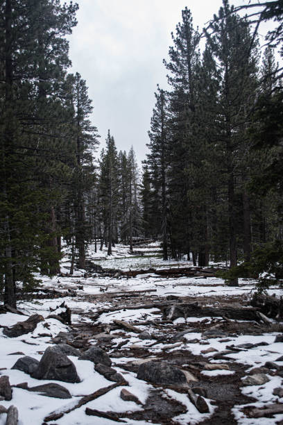 istock Palm Springs tramway after late season snow 1185966923