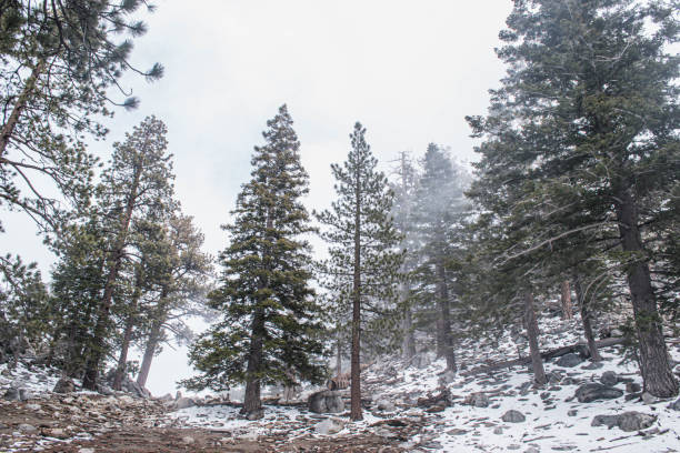 istock Palm Springs tramway after late season snow 1185966988
