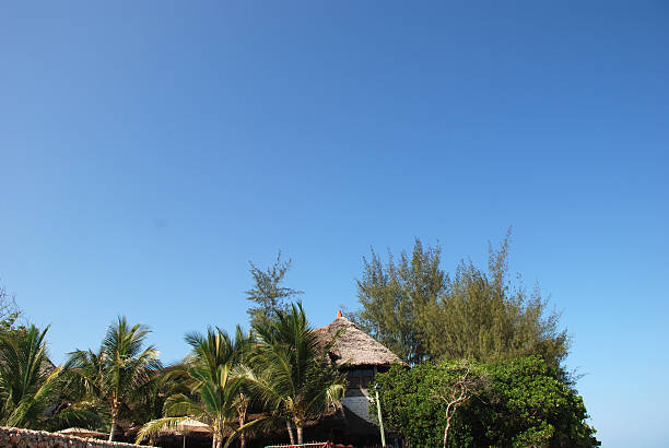 istock Tropical House on the beach 118596886