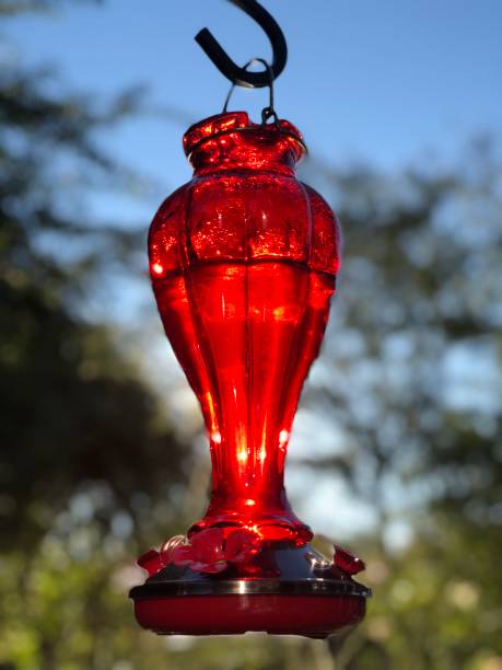 istock Red Hummingbird Feeder on Hook 1185971909