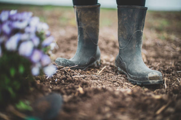 istock Woman in a Home Garden 1185978669