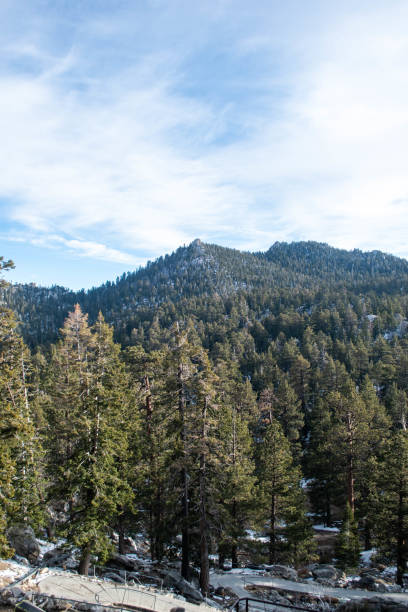 Palm Springs tramway after late season snow