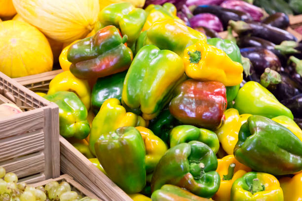 bunte frische paprika paprika in einer box auf dem outdoor-markt in rom, italien - green bell pepper bell pepper red bell pepper groceries stock-fotos und bilder