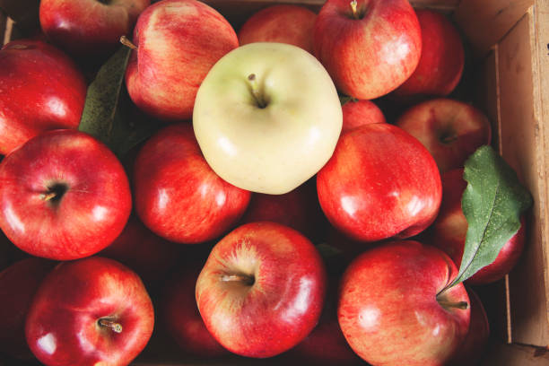 istock apples on the wooden box 1185981861