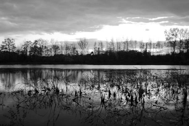 istock Lake black and white with reflections 1185982875