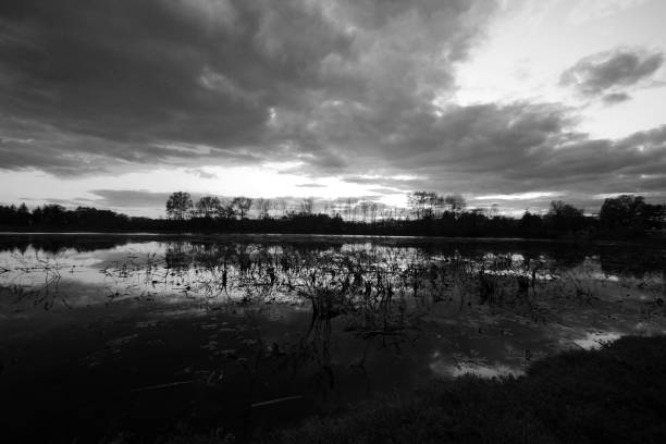 istock Black and white sunset on a lake 1185982877