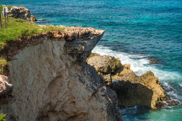 istock Coastline on Isla Mujeres, Mexico 1185982900