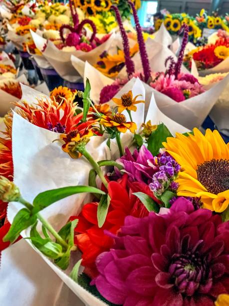 istock bright flowers in Pike place market 1185991817