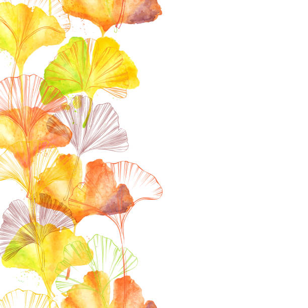 ilustraciones, imágenes clip art, dibujos animados e iconos de stock de gingko leaf ink border y watercolor seamless pattern - vector illustration - ginkgo ginkgo tree chinese medicine healthcare and medicine