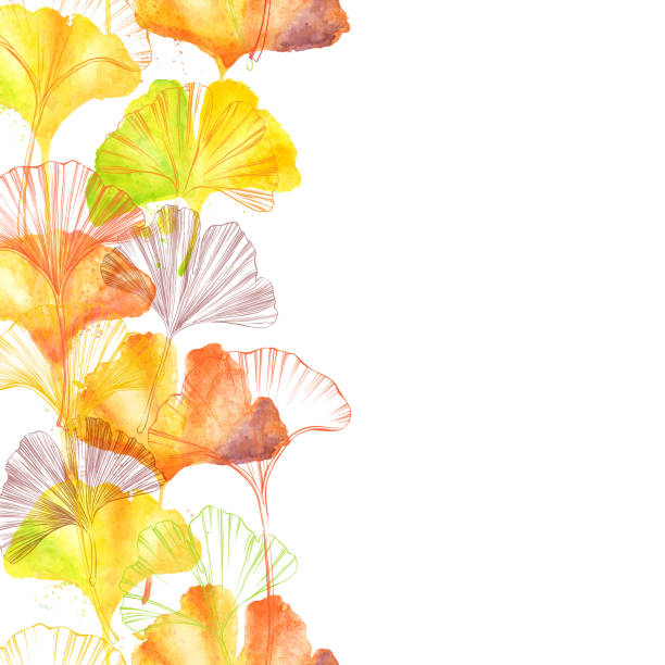 ilustrações de stock, clip art, desenhos animados e ícones de gingko leaf ink border and watercolor seamless pattern - vector illustration - ginkgo ginkgo tree chinese medicine healthcare and medicine