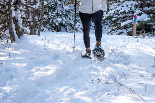 frau schneeschuhschuhim winter - snowshoeing snowshoe women shoe stock-fotos und bilder