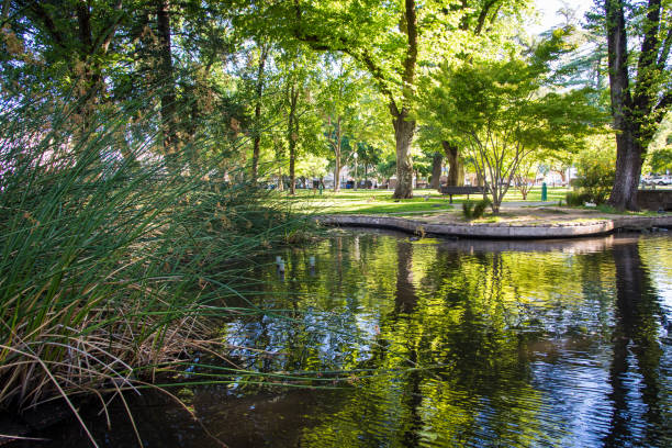 istock sonoma california town square park 1186001633