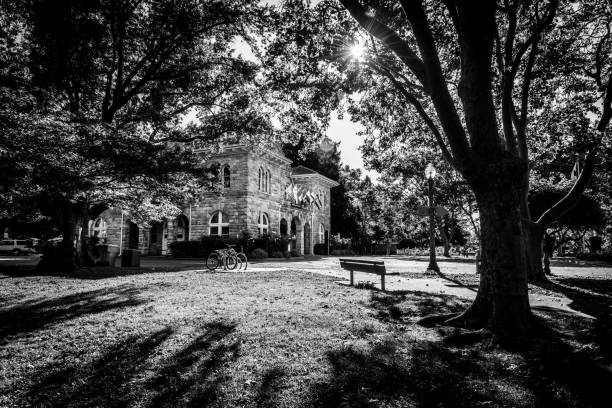 parkland surround the sonoma city hall in sonoma california