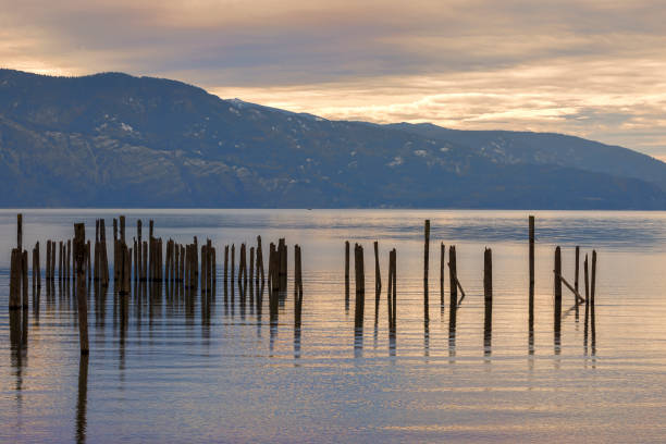 istock Posts in the calm lake water. 1186001716