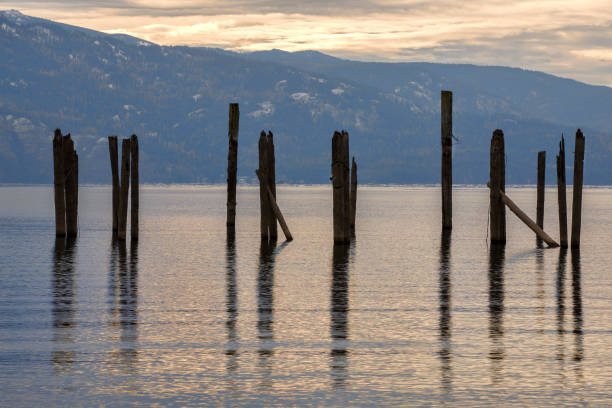 istock Wooden poles in the lake. 1186001718