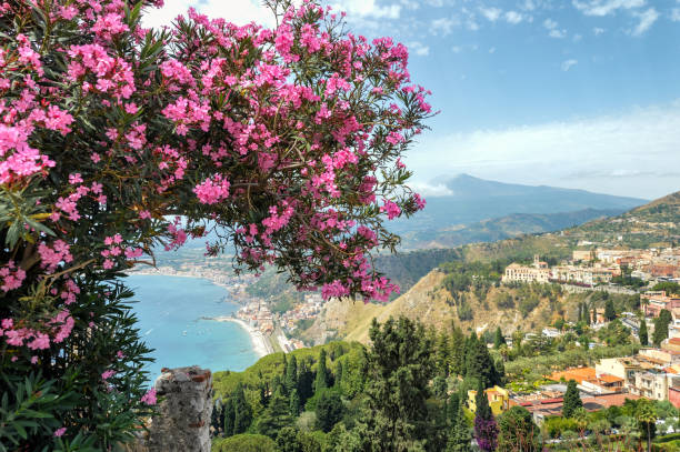istock Famous tourist destination Taormina, Sicily 1186016054