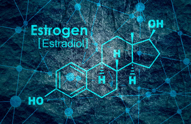 Formula of hormone estrogen. Chemical molecular formula hormone estrogen. Infographics illustration. oestrogen stock illustrations