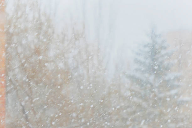 istock Falling snow on the background of trees 1186021514