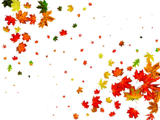 istock Autumn landscape. Season pattern isolated on white background. Thanksgiving concept 1186022523
