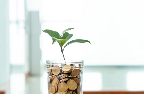istock Plant growing from jar full of coins 1186024504