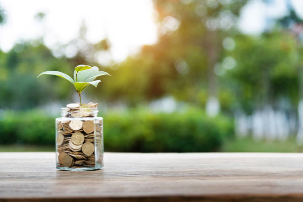 istock Plant growing from jar full of coins 1186024768