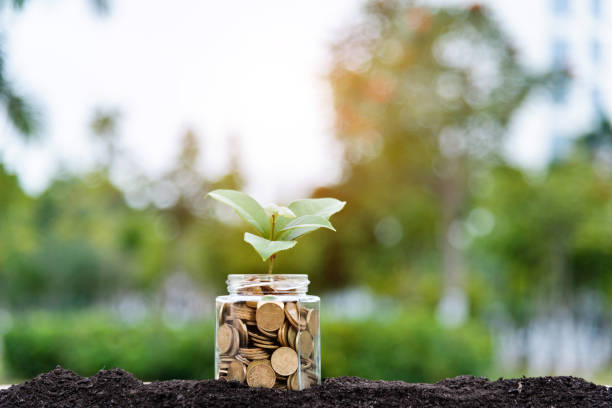 Plant growing from coins jar Plant growing from coins jar. chinese yuan coin stock pictures, royalty-free photos & images