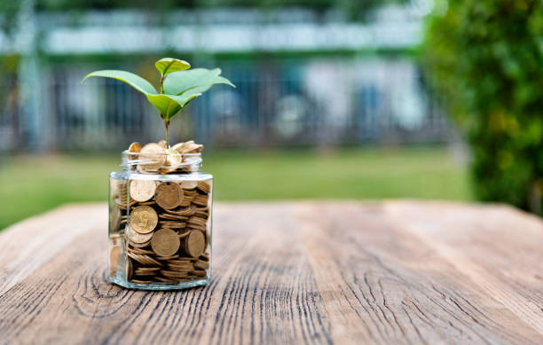 istock Plant growing from jar full of coins 1186025552