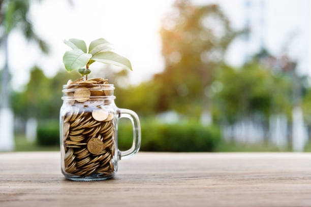 istock Plant growing from cup full of coins 1186025942