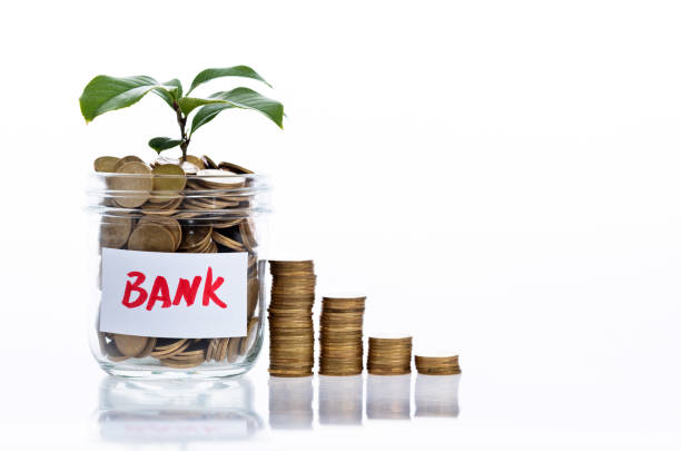 istock Plant growing from coin jar on white background 1186028454