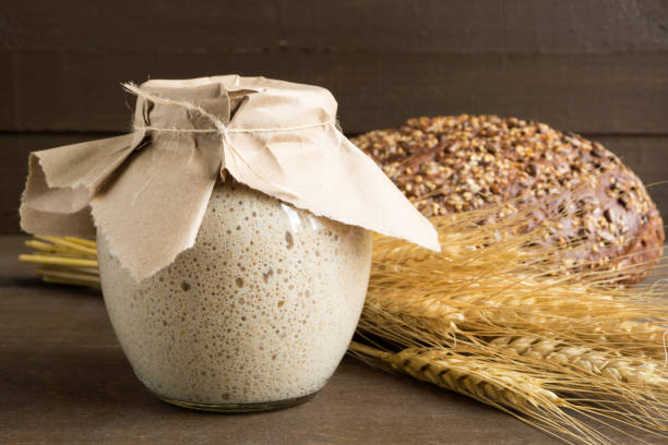 masa fermentada de centeno activo en un frasco de vidrio para pan casero. - bread cereal plant black food fotografías e imágenes de stock