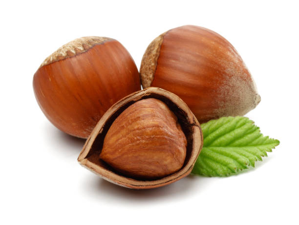 istock Group of hazelnuts with green leaf isolated 1186033979