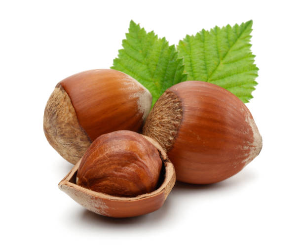 istock Group of hazelnuts with green leaves isolated 1186034011