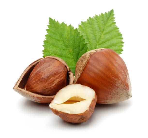 istock Group of hazelnuts with green leaves isolated 1186034077
