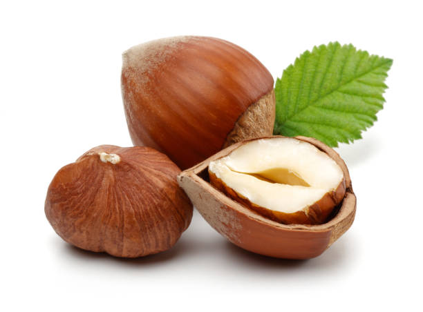 istock Group of hazelnuts with green leaf isolated 1186034078