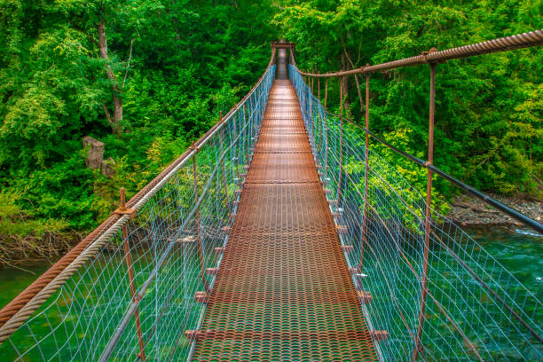 istock Suspended iron bridge across the river 1186035620