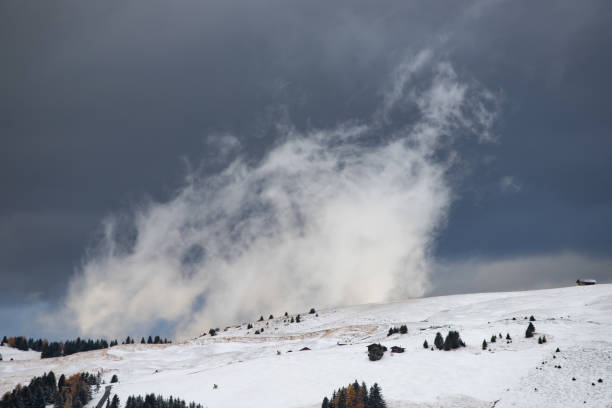 альп сиуси зимой - forest alp tirol hiking стоковые фото и изображения