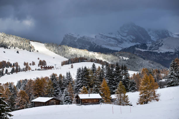 istock Alpe di Siusi in winter. 1186037588