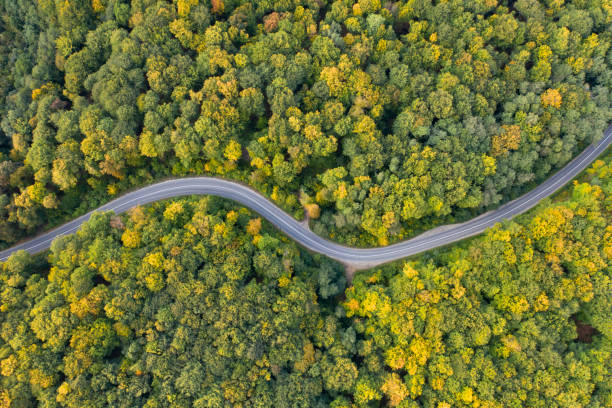 istock Country road at autumn 1186039148
