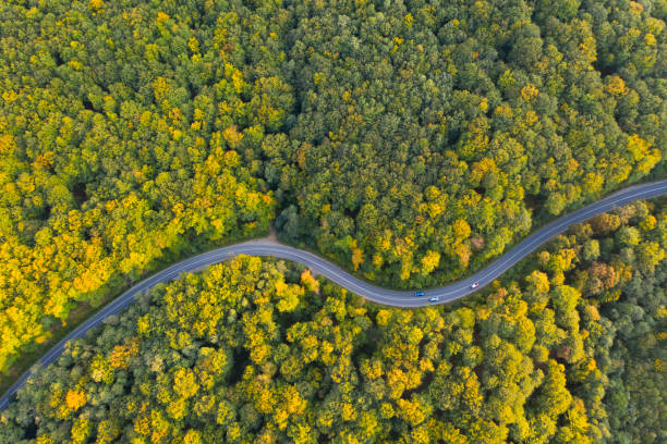 istock Country road at autumn 1186039320