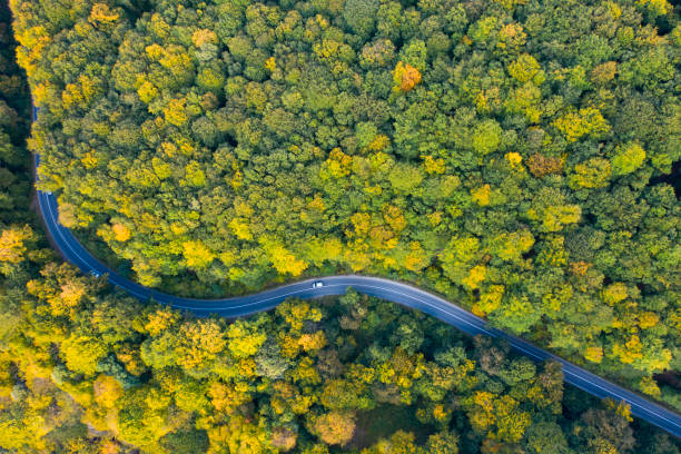 istock Country road at autumn 1186040163