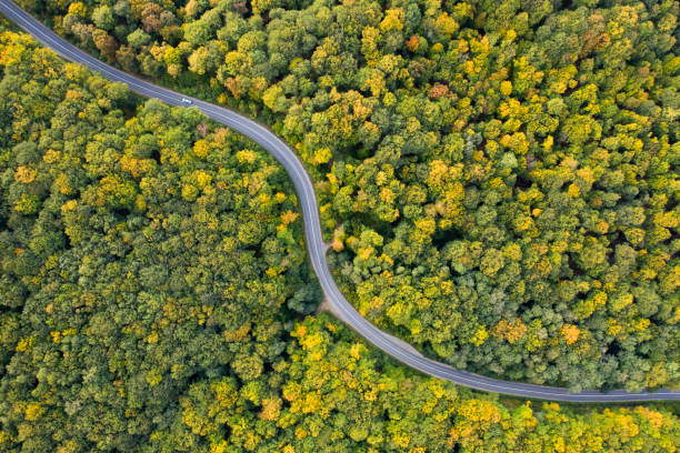 istock Country road at autumn 1186040629