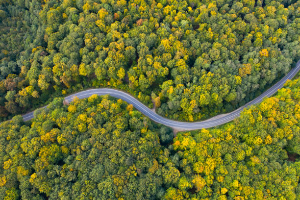 istock Country road at autumn 1186040743