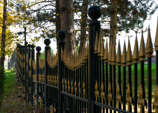 Iron fence with gilded peaks and a video camera. Security system. The border of the site.