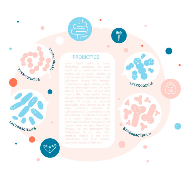 Probiotics, human intestinal microflora vector banner template Probiotics, human intestinal microflora vector banner template. Good bacteria types flat illustration with text space. Immunity, health concept. Medical poster, article page design idea probiotic pattern stock illustrations