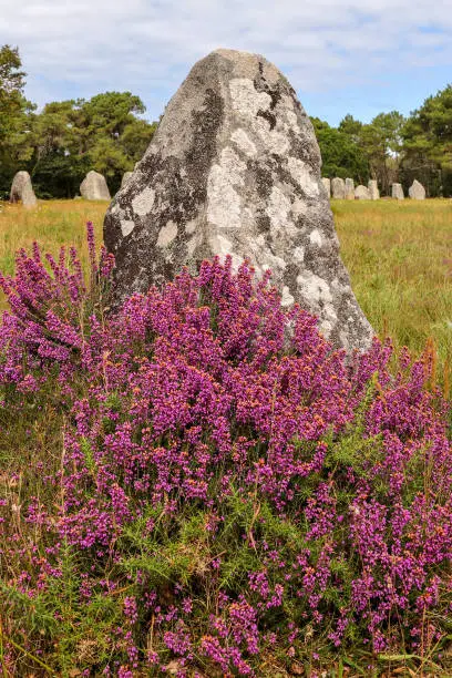 Photo of Menhir in the Alignment of Kerlescan, megalithic monuments in Carnac