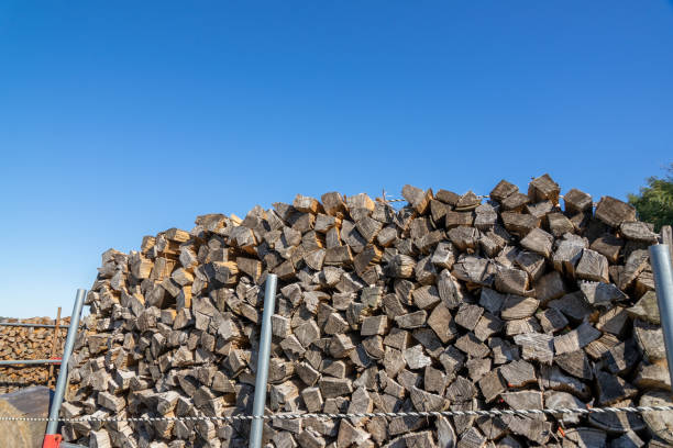 istock Pile of chopped fire wood 1186044034