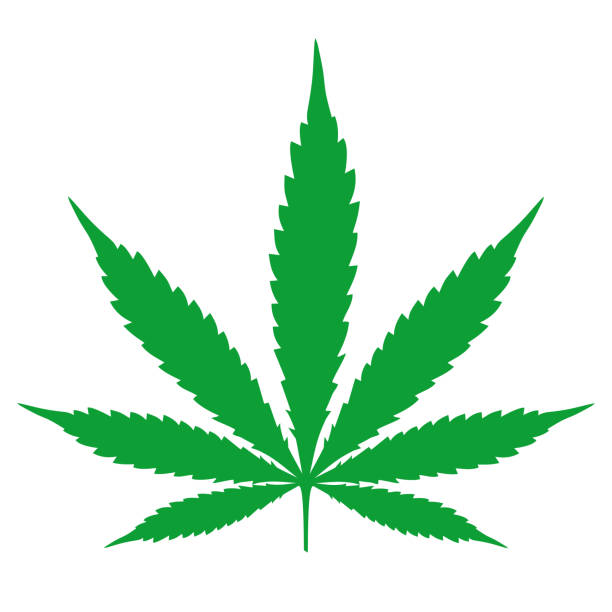 ilustracja liści konopi - narcotic medicine symbol marijuana stock illustrations