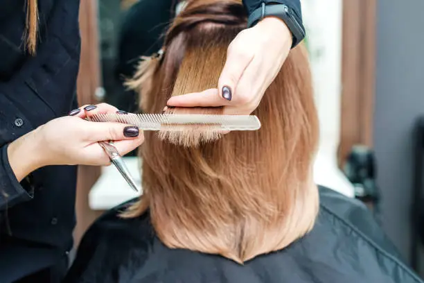 Hairdresser's female hands are holding woman's red hair with comb between fingers in the beauty salon close up.